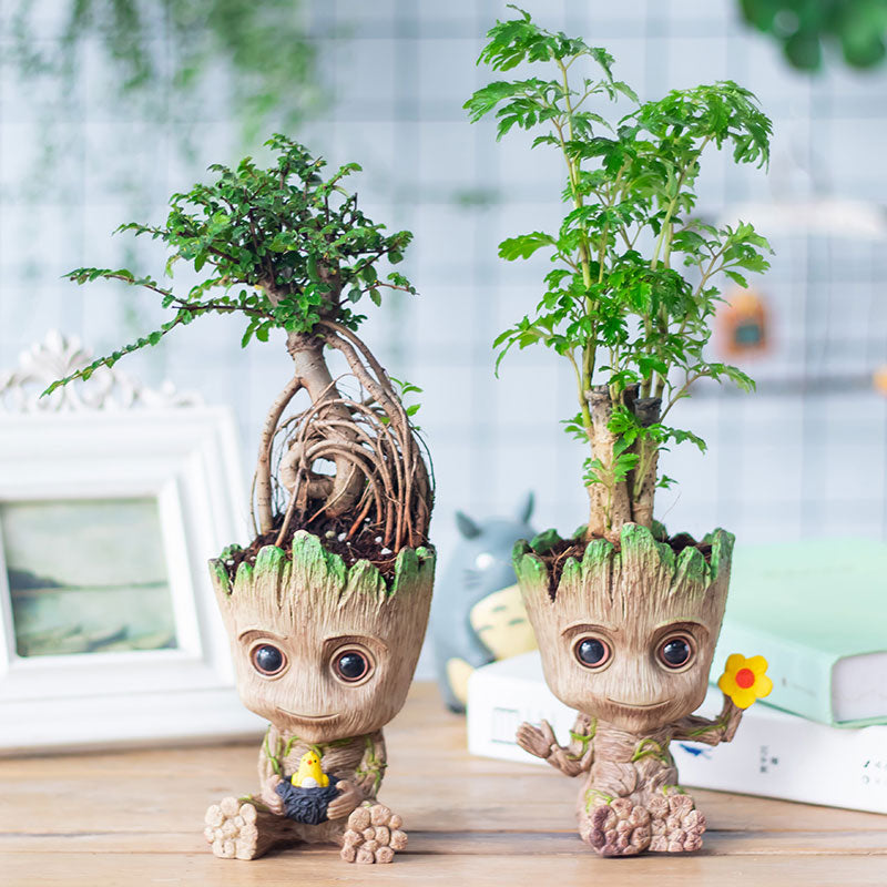 Grootify Saksı