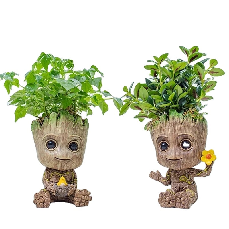 Grootify Saksı